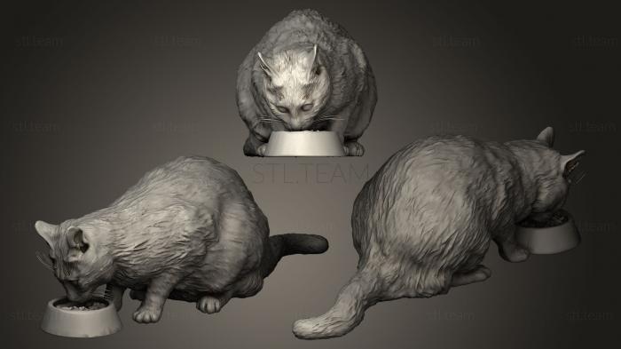 3D model Cat eating food 12 (STL)